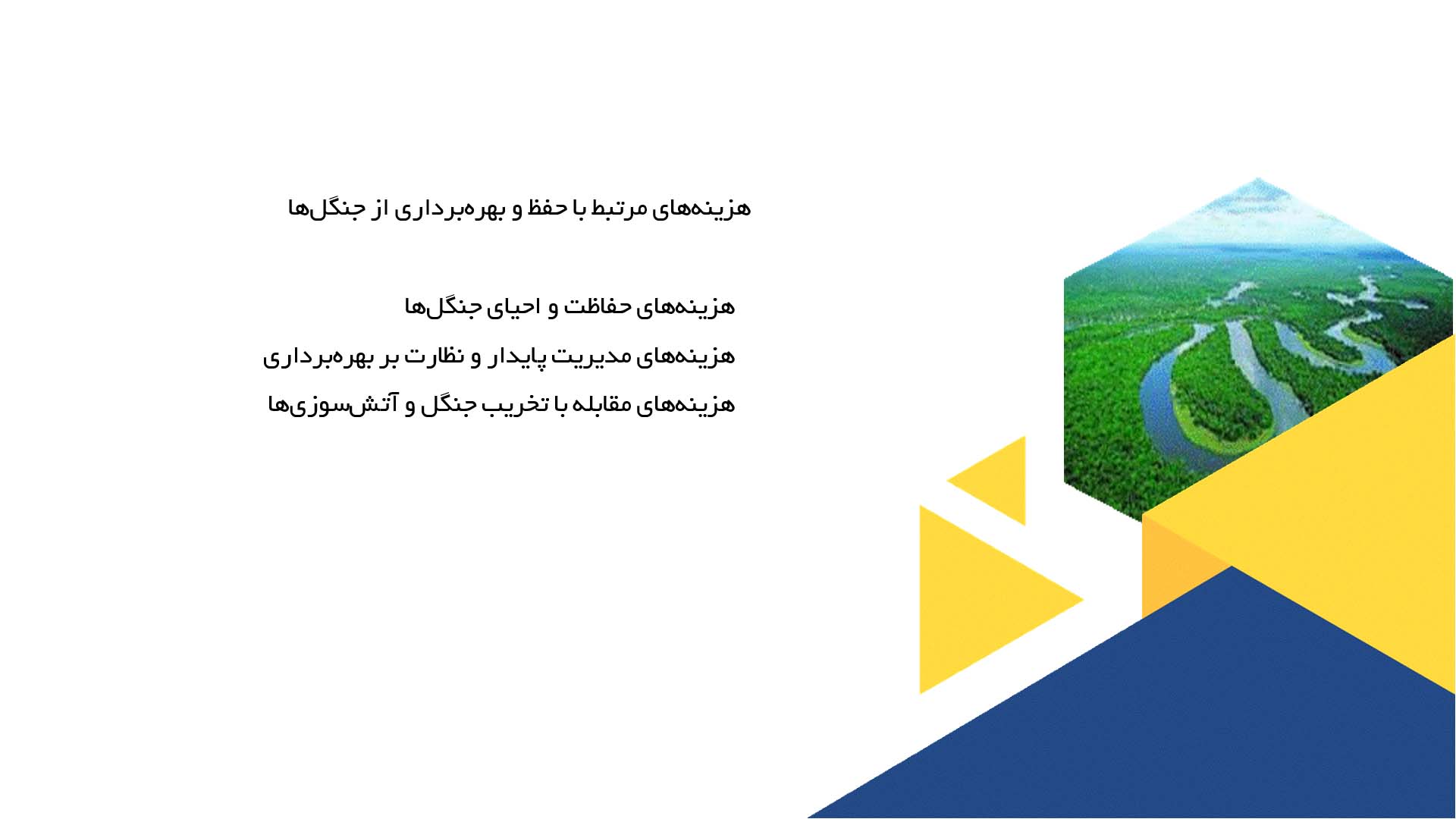 پاورپوینت در مورد جنگل‌ها و اثرات آن بر کیفیت زندگی انسان